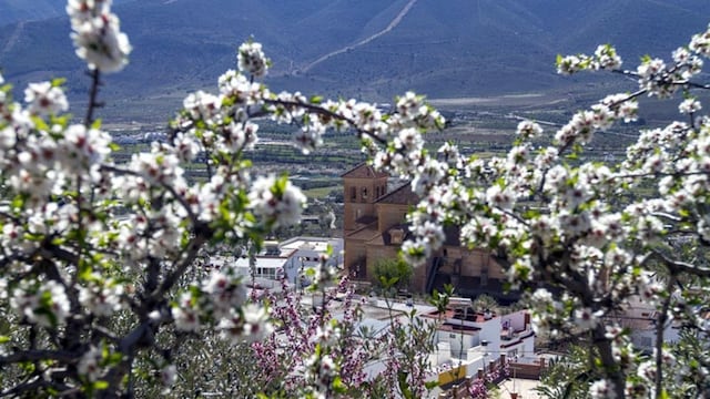 t_alpujarra almeri