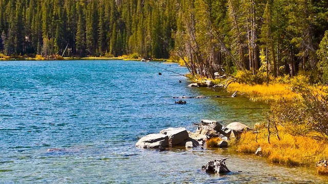 lago t