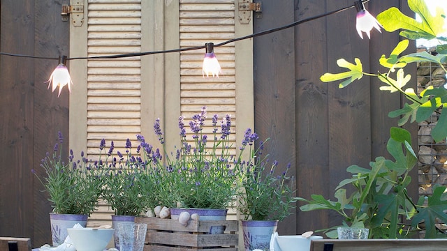 jardin