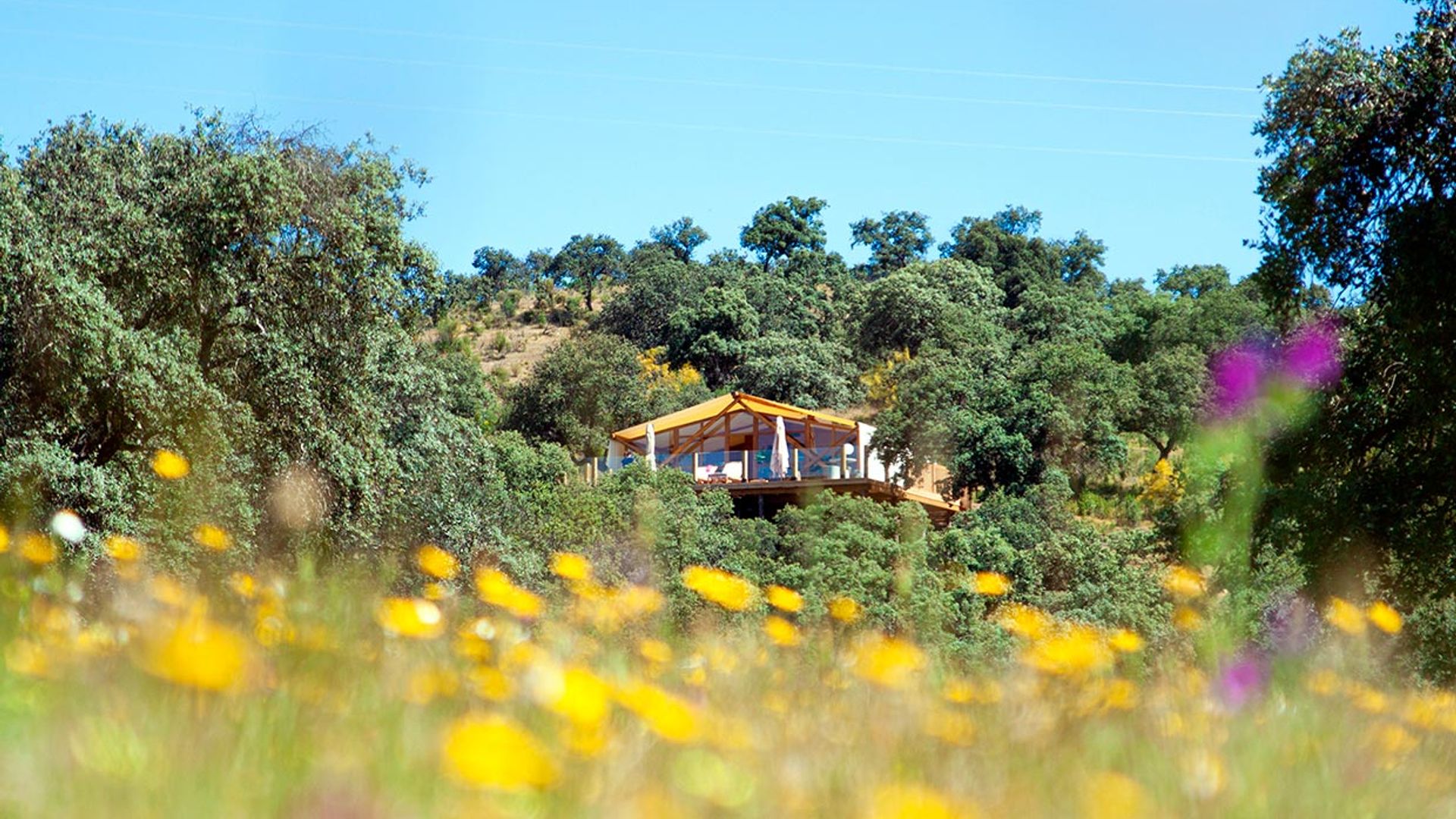Las cabañas con las que siempre soñaste están en la dehesa cordobesa