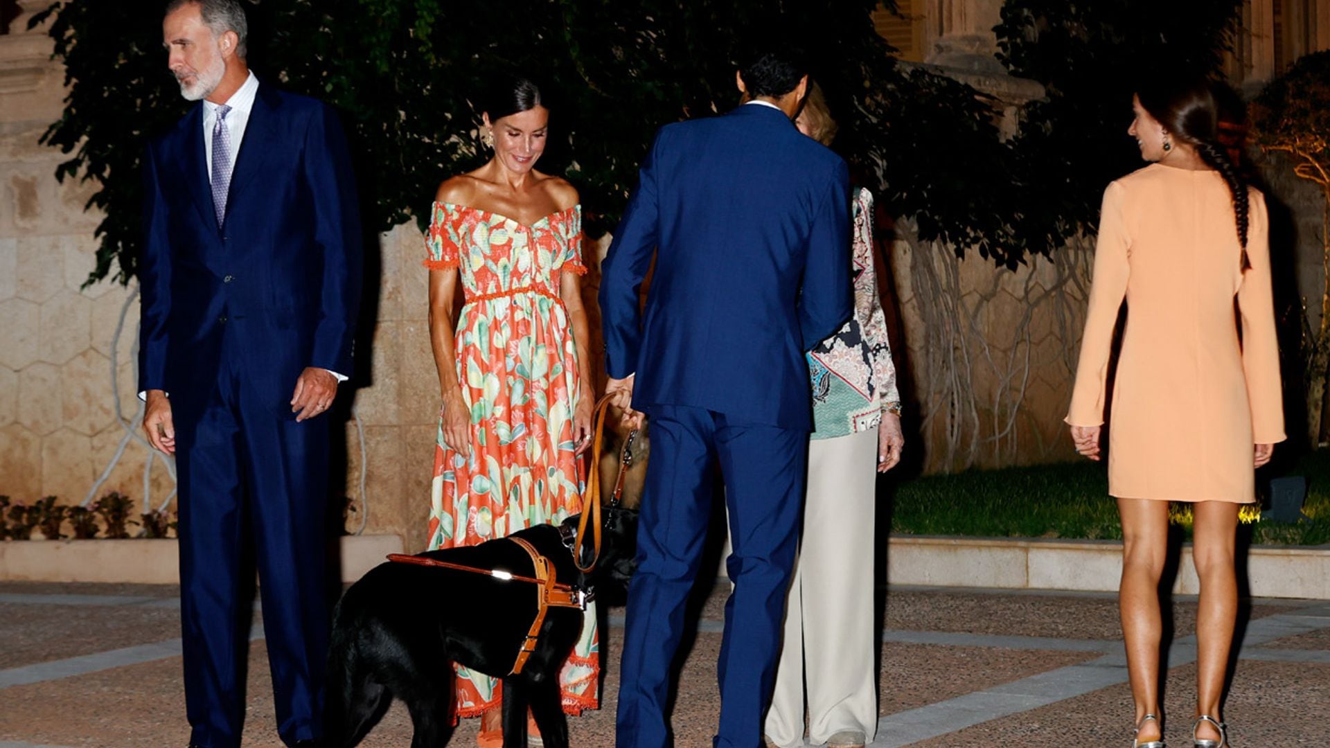 Cayden, el perro guía del atleta paralímpico Joan Munar Martínez que conquistó a la reina Letizia