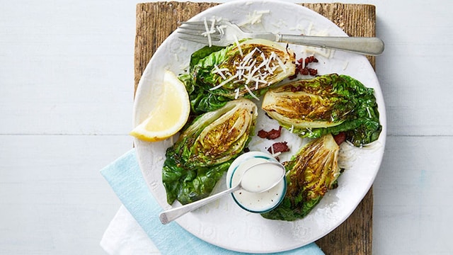 cogollos lechuga