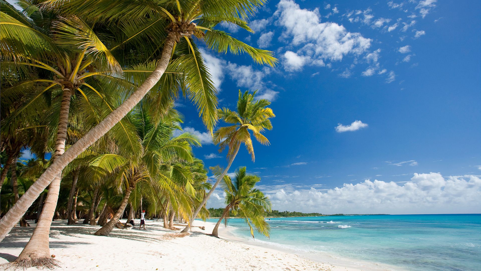 Punta Cana con alma aventurera: entre playas soñadas, islas vírgenes y adrenalina tropical