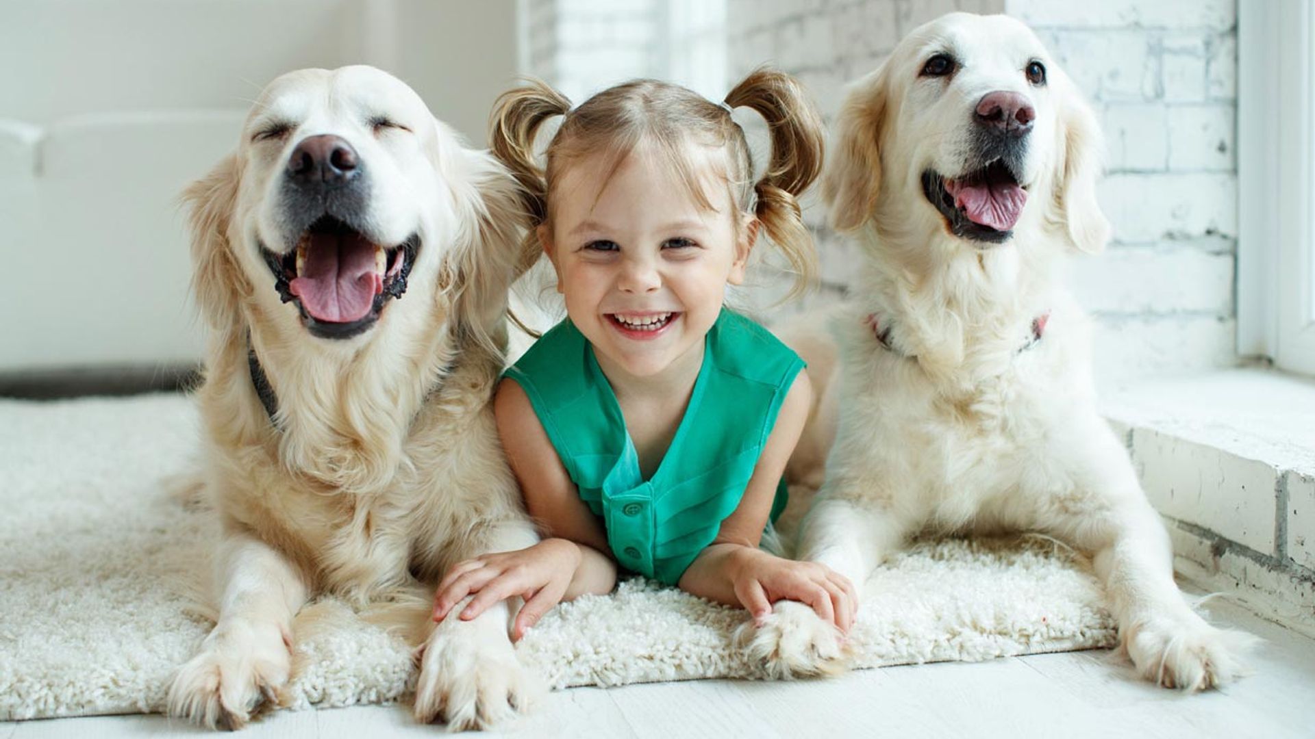 ¡Hoy es su día! Apunta estos beneficios psicológicos de tener un perro en la familia