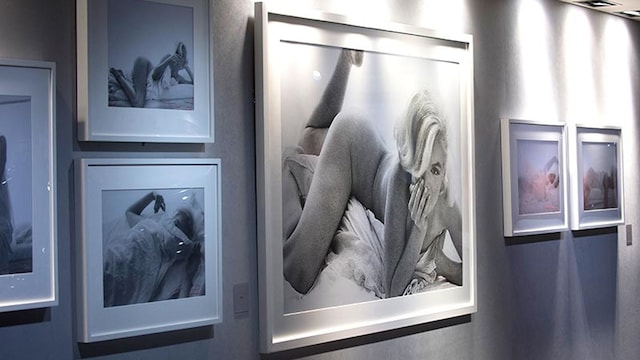 exposicion marylin 2t
