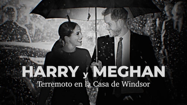 documental harry