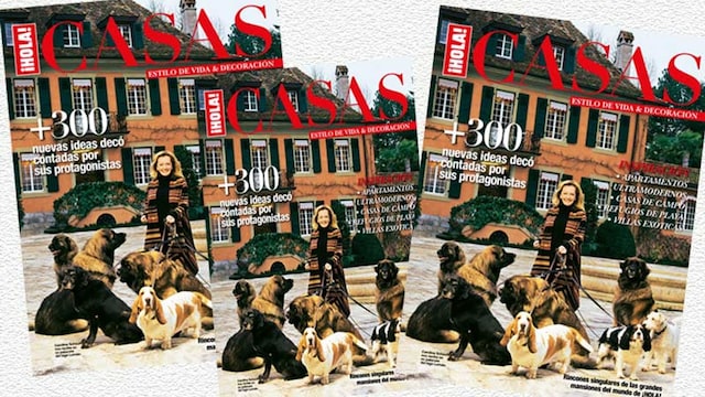 especial casas hola 2