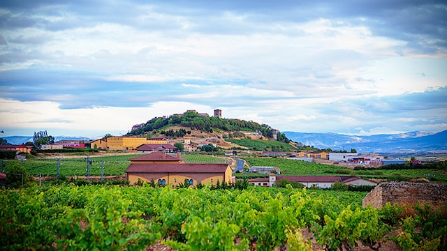 rioja alavesa