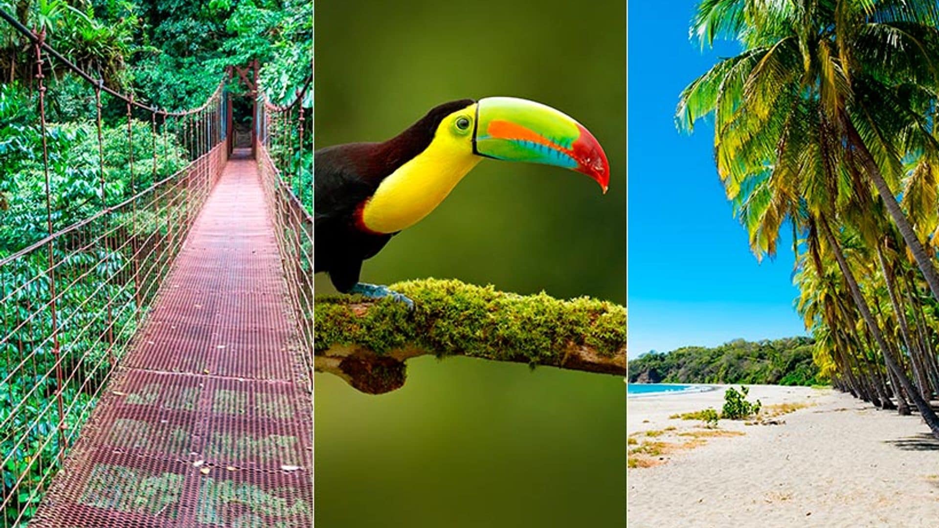 Sin PCR, paraíso sostenible y otros motivos para salir volando a Costa Rica