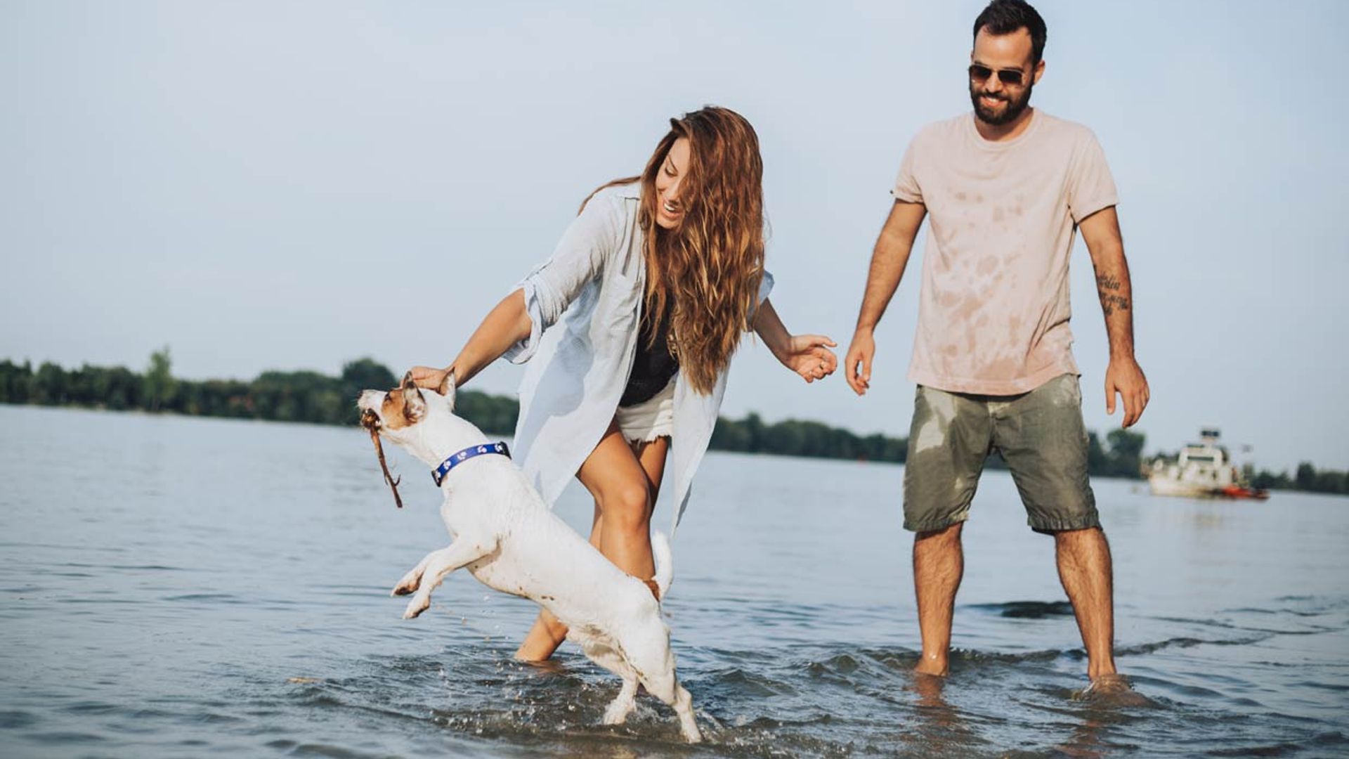 Las razas de perro más activas, perfectas si te gusta hacer ejercicio