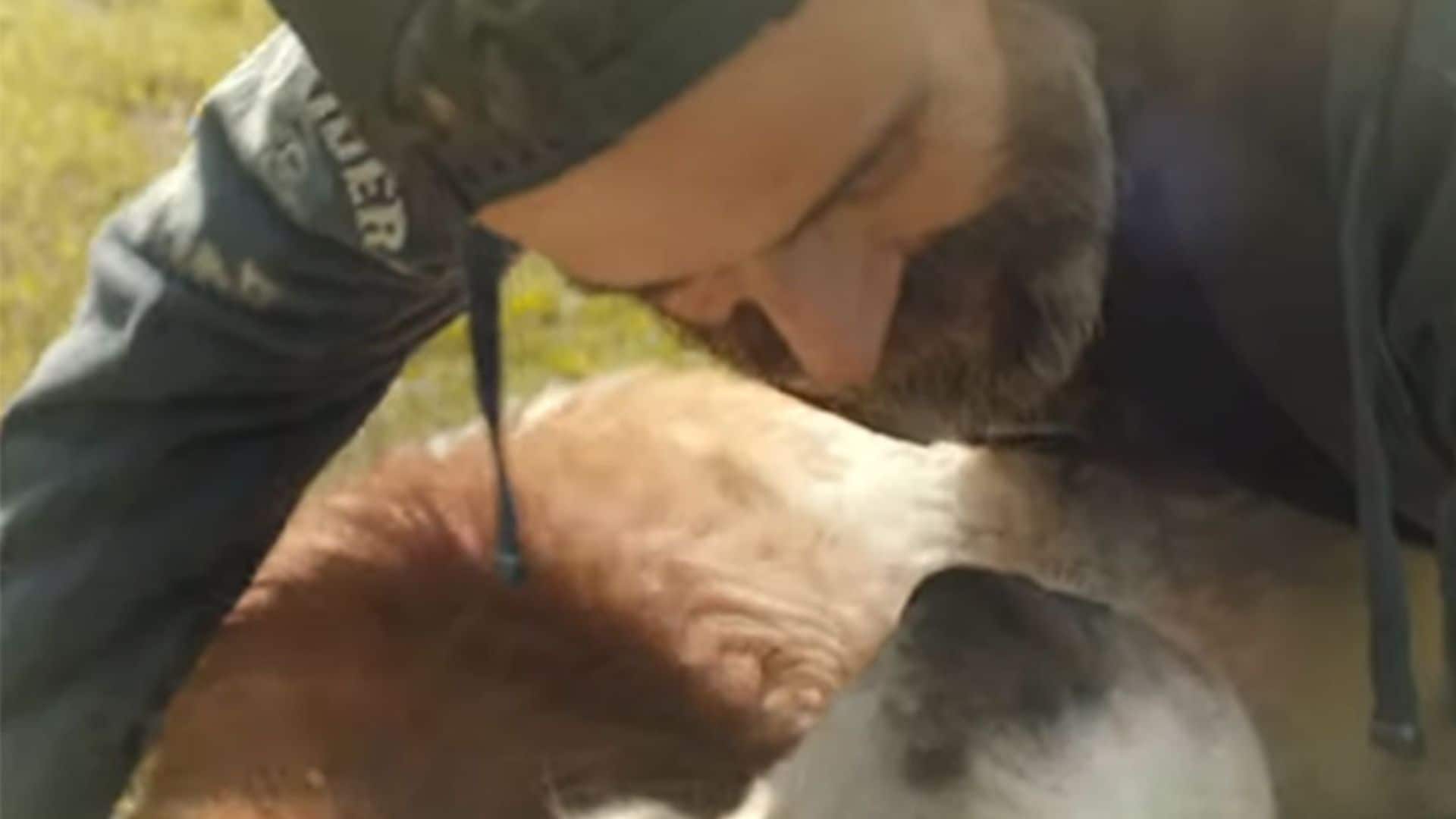 El último regalo de Pau Donés, un videoclip póstumo en el que se despide de su mascota