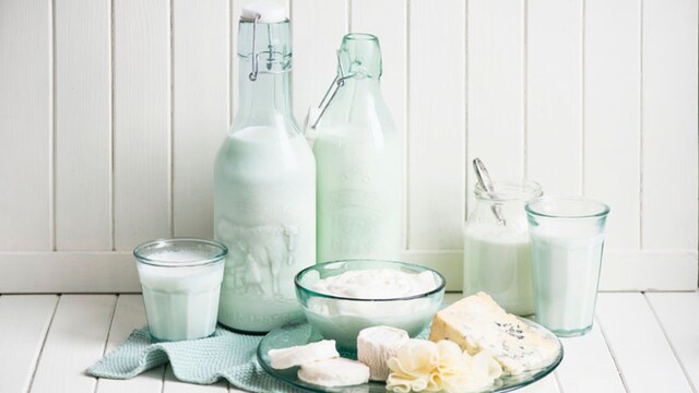 mejores lacteos fermentados yogures queso leche
