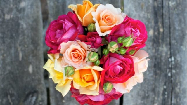 novias cancelacion 01