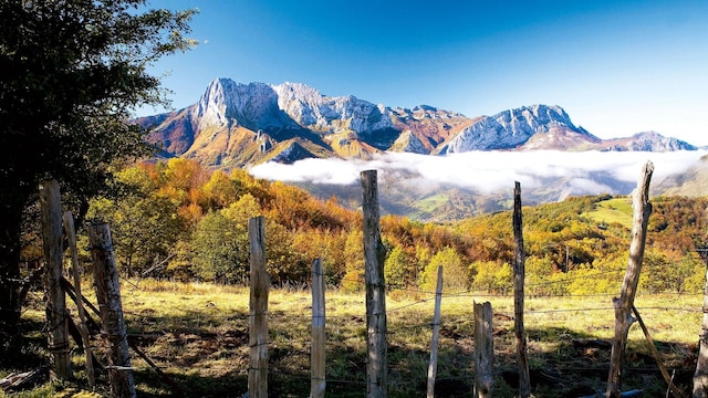 el parque natural de ponga