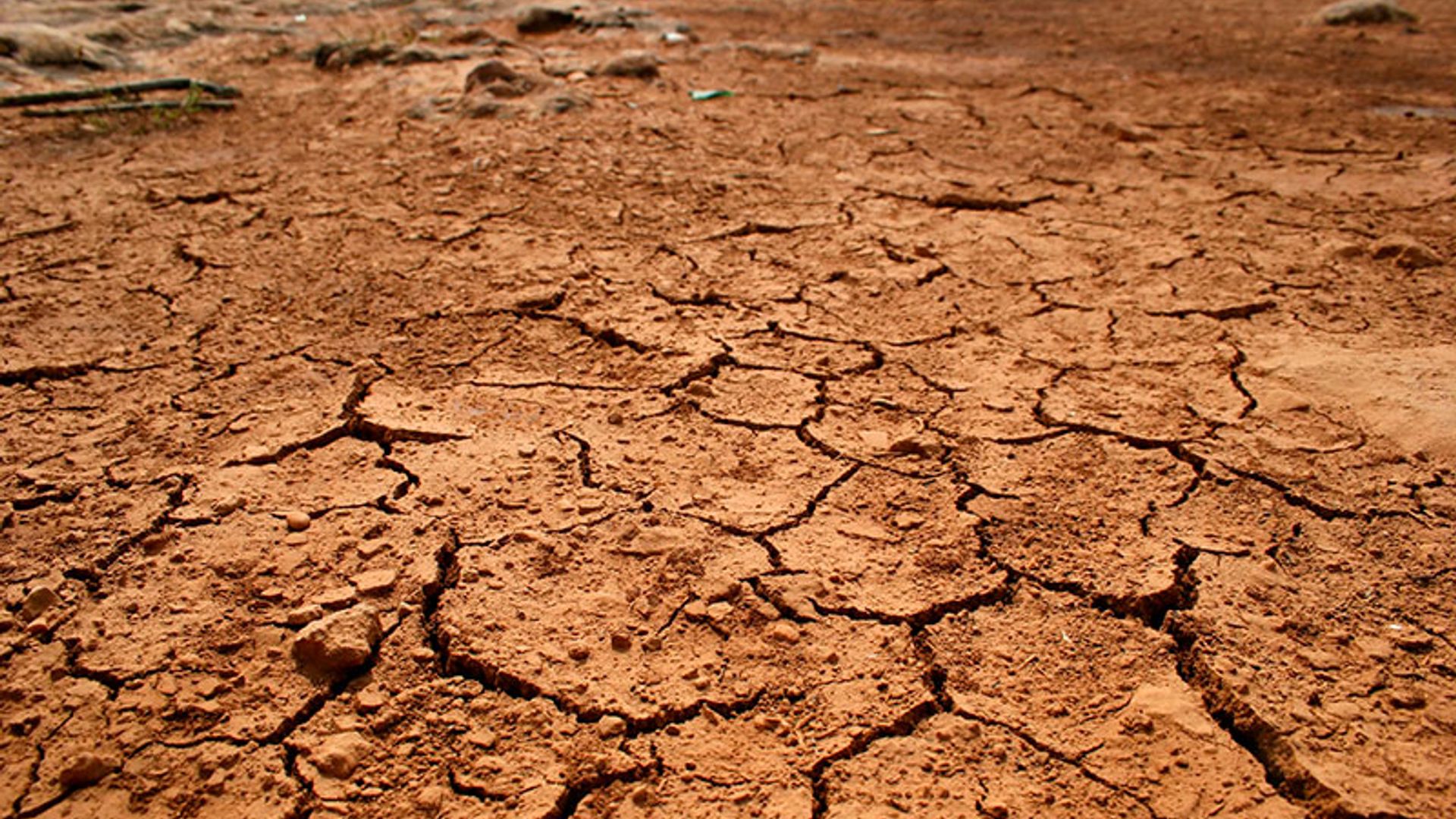 portada agricultura