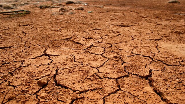 portada agricultura