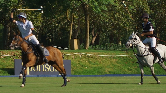 polo