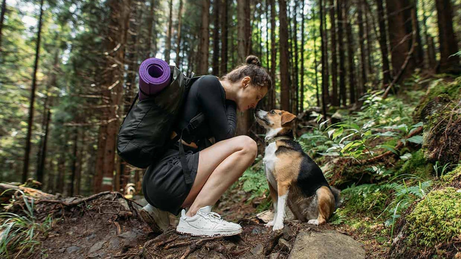 Consejos para hacer senderismo con tu perro (y algunas rutas que no debes perderte)