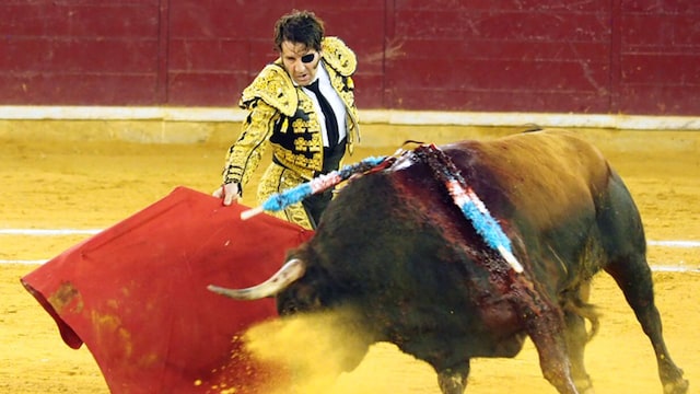 padilla ruedo gtres