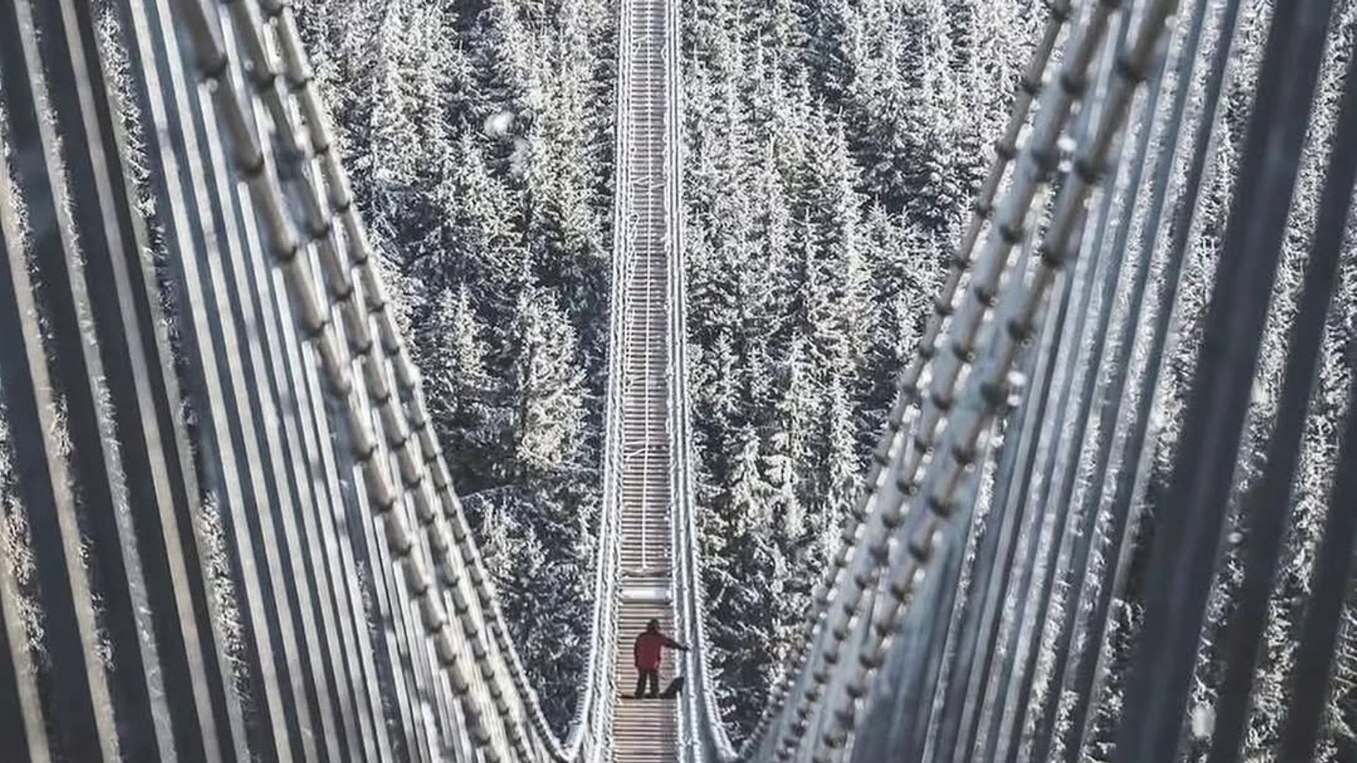 721 metros suspendidos entre dos montañas: el Sky Bridge 721 conecta dos crestas sobre un valle a 95 metros de altura