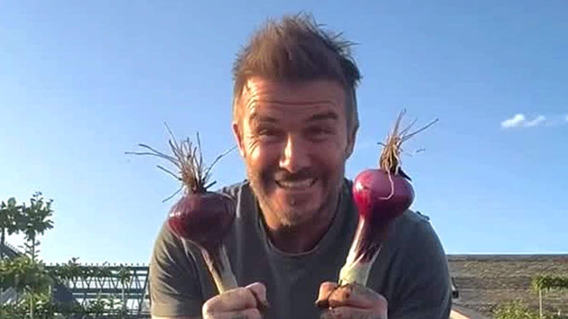 El divertido vídeo de David Beckham al estilo agricultor comentado por Victoria