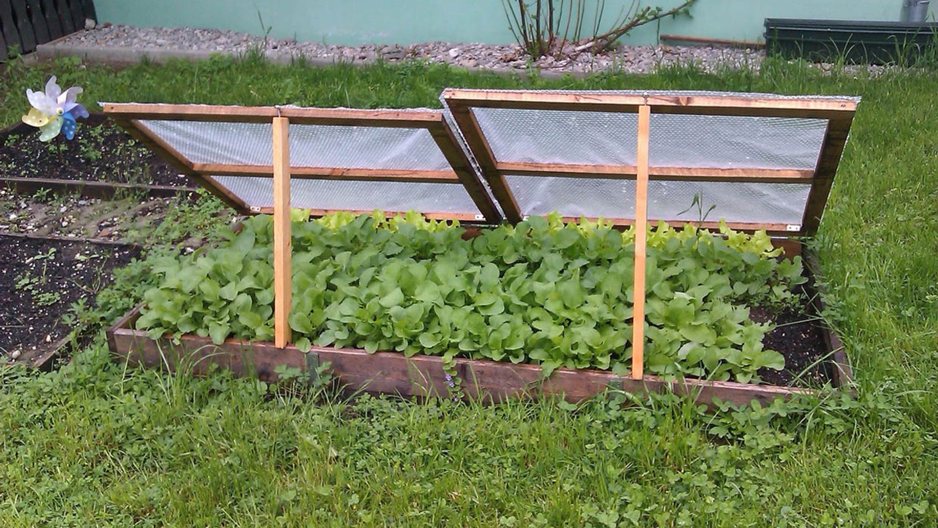 ¿Qué plantar en tu huerto doméstico en verano? Y cómo cuidarlo