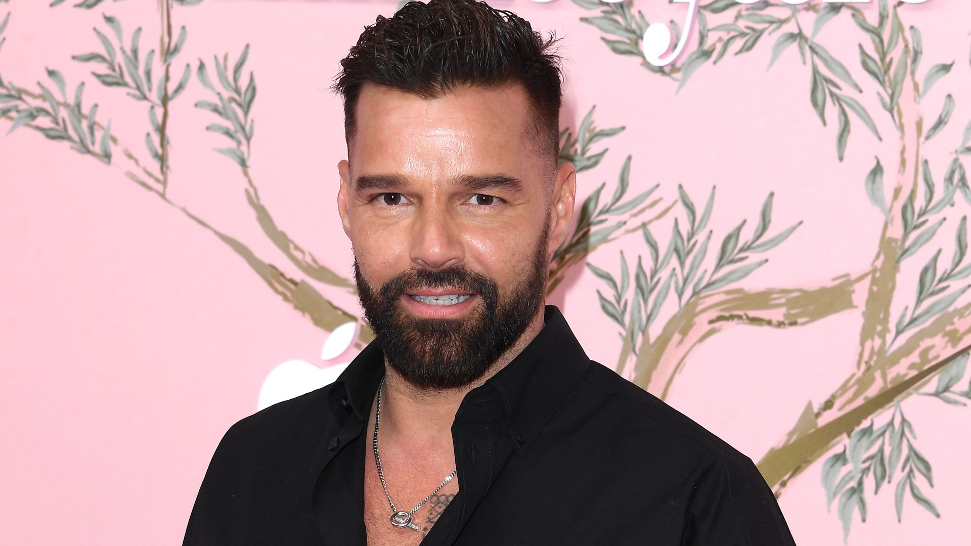Ricky Martin muestra los diamantes que su hija Lucía está por estrenar