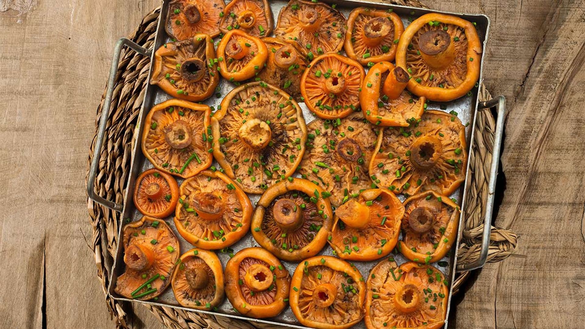 Níscalos al horno