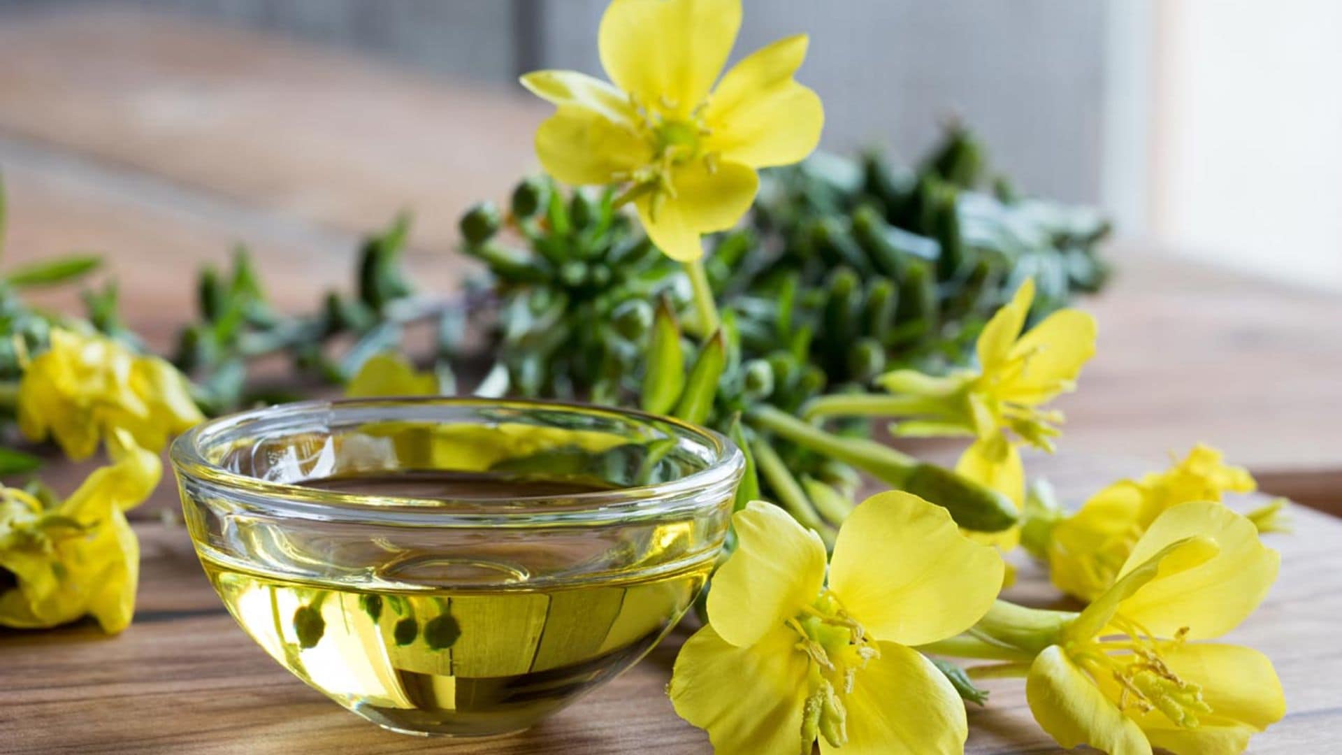 Aceite de onagra: ¿conoces todos los beneficios de la llamada planta de la mujer?
