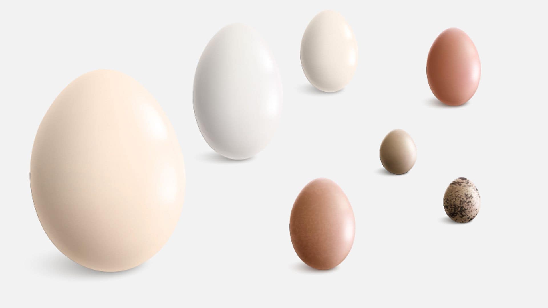 El más consumido es el de gallina, ¿pero sabes cuáles son los otros huevos más populares?