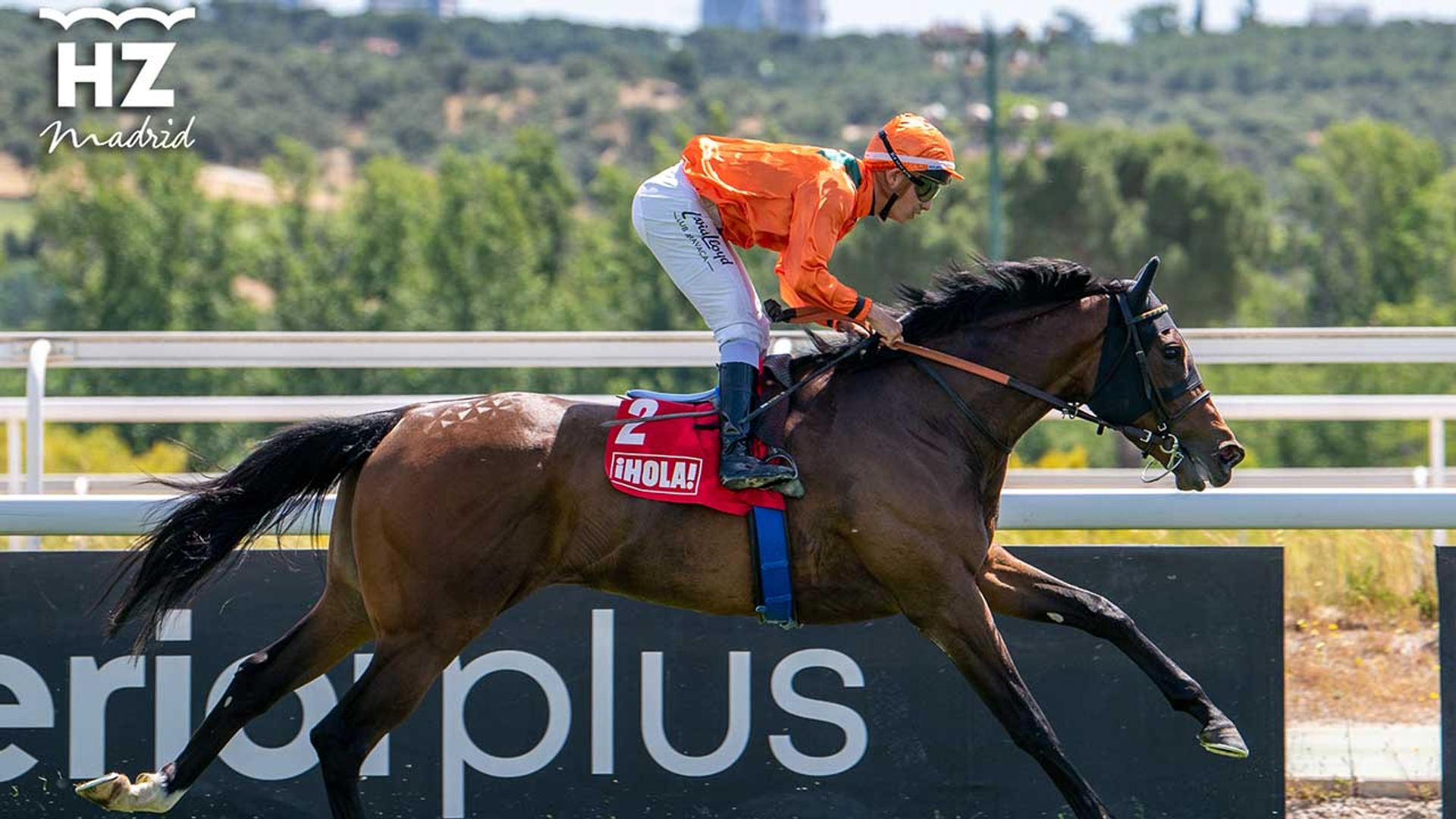 'War of Dance' se alza con el Premio Teresa, de ¡HOLA!, tras una emocionante carrera en el Hipódromo de la Zarzuela