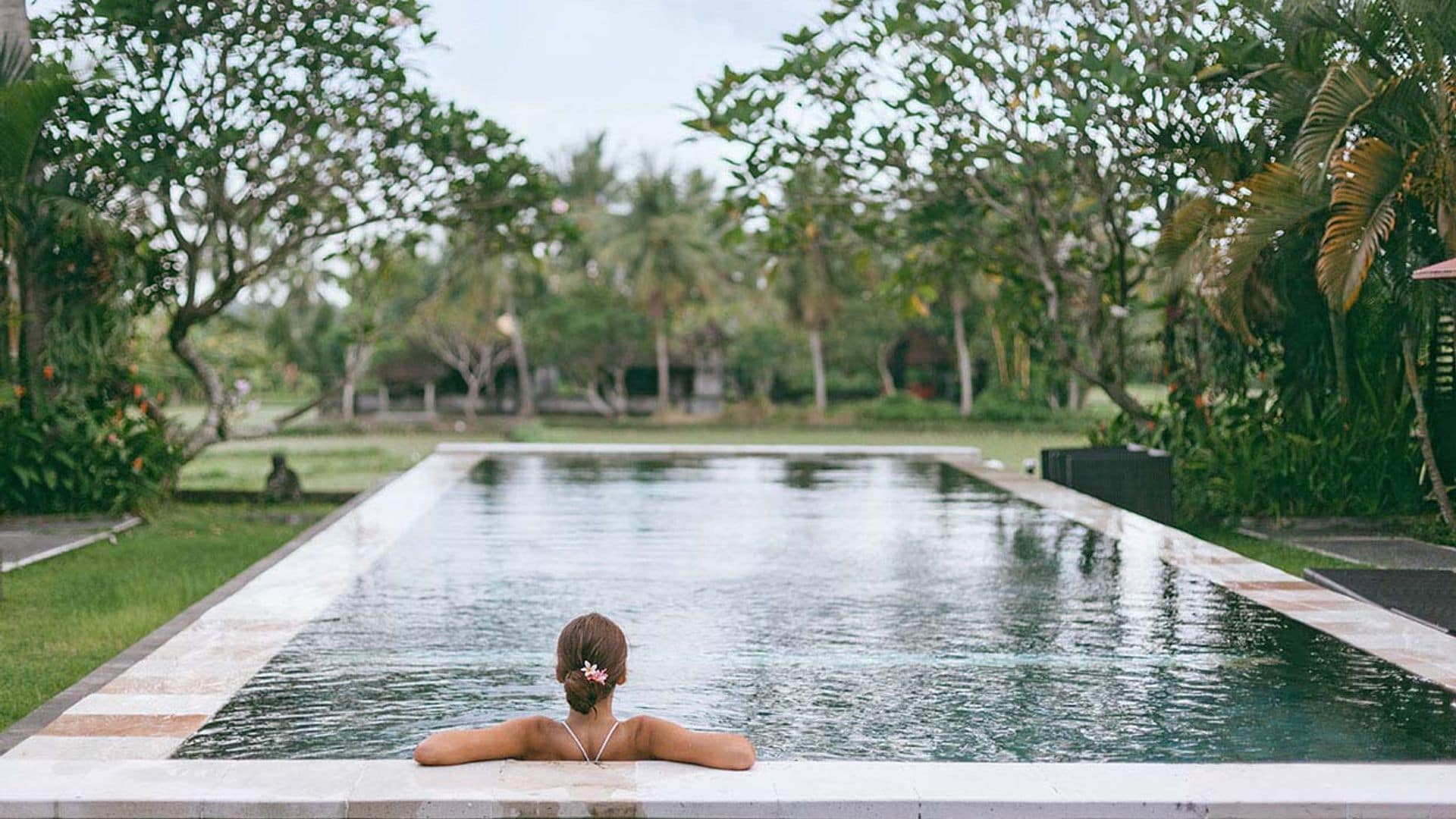 Cómo elegir las plantas y los árboles más adecuados para plantar cerca de la piscina