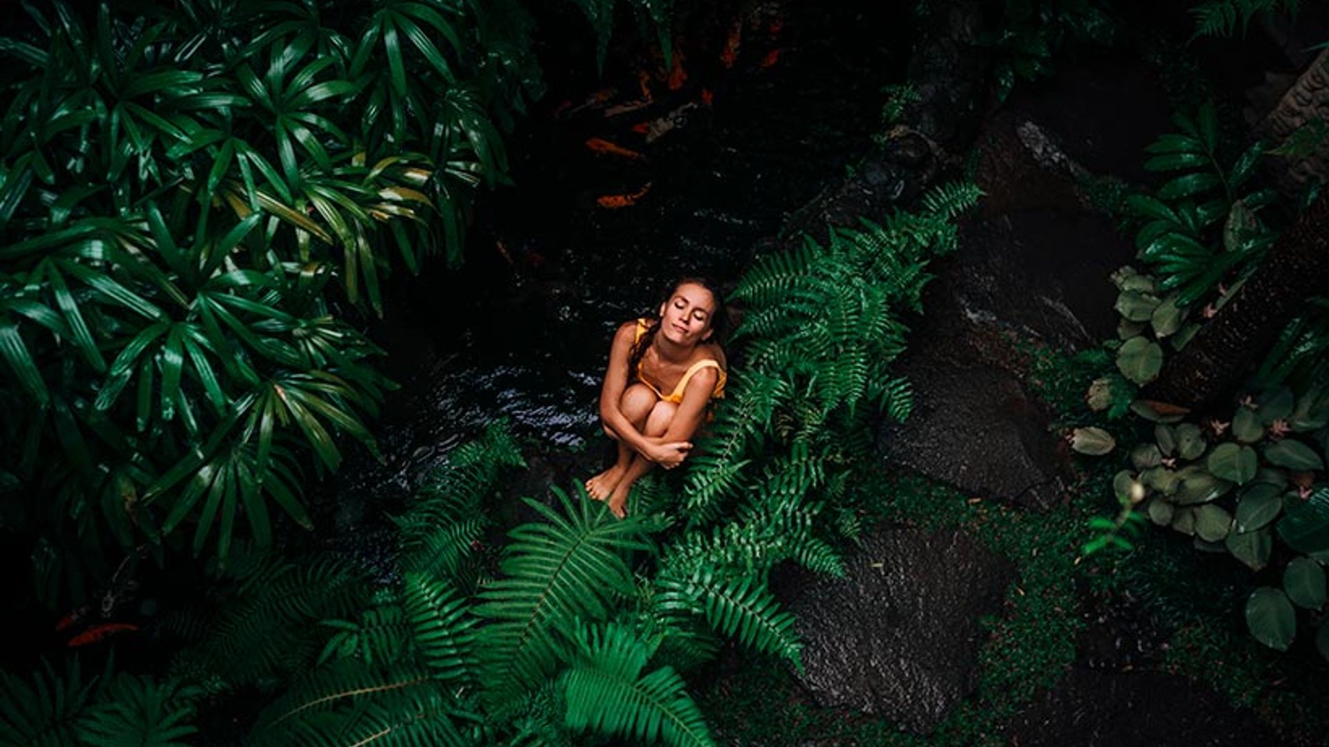 Conecta con la naturaleza con estos baños de bosque