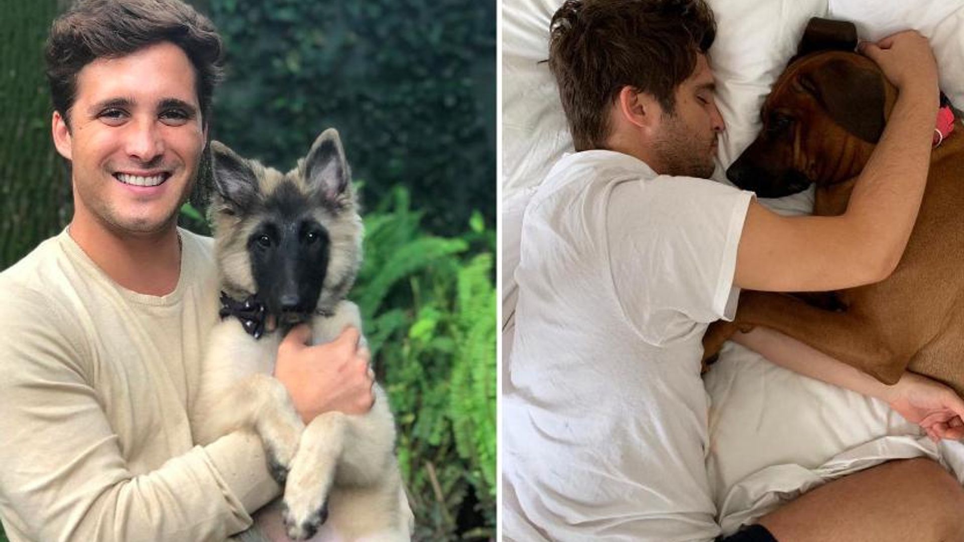 Diego Boneta y las fotos en que presume su gran amor por los perros
