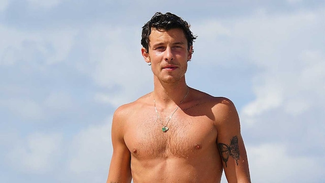 shawn mendes 1 gtres