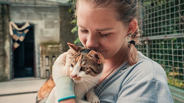 consejos buscar gato perdido