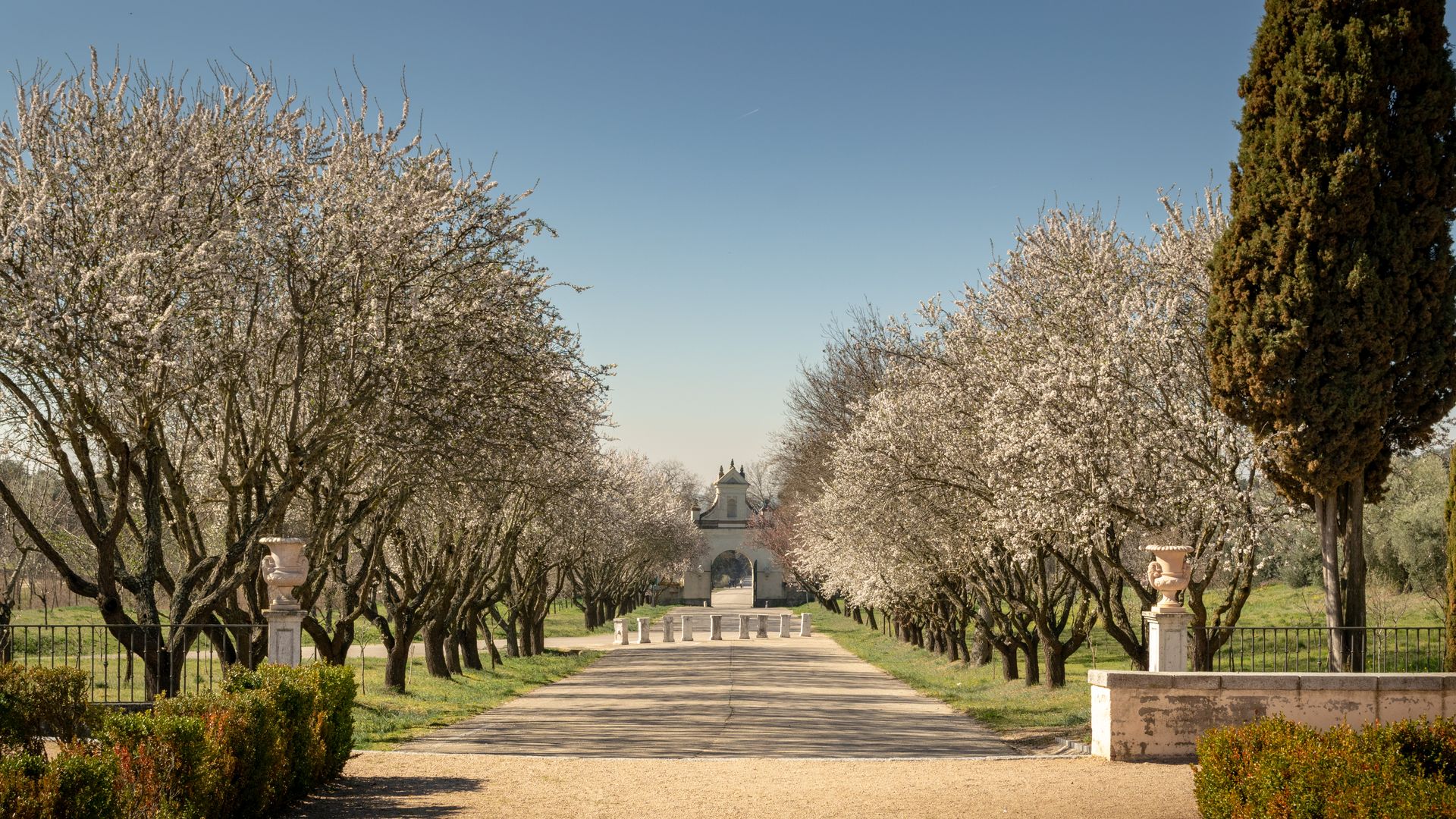 Madrid este fin de semana: los planes más apetecibles para disfrutar la primavera al máximo
