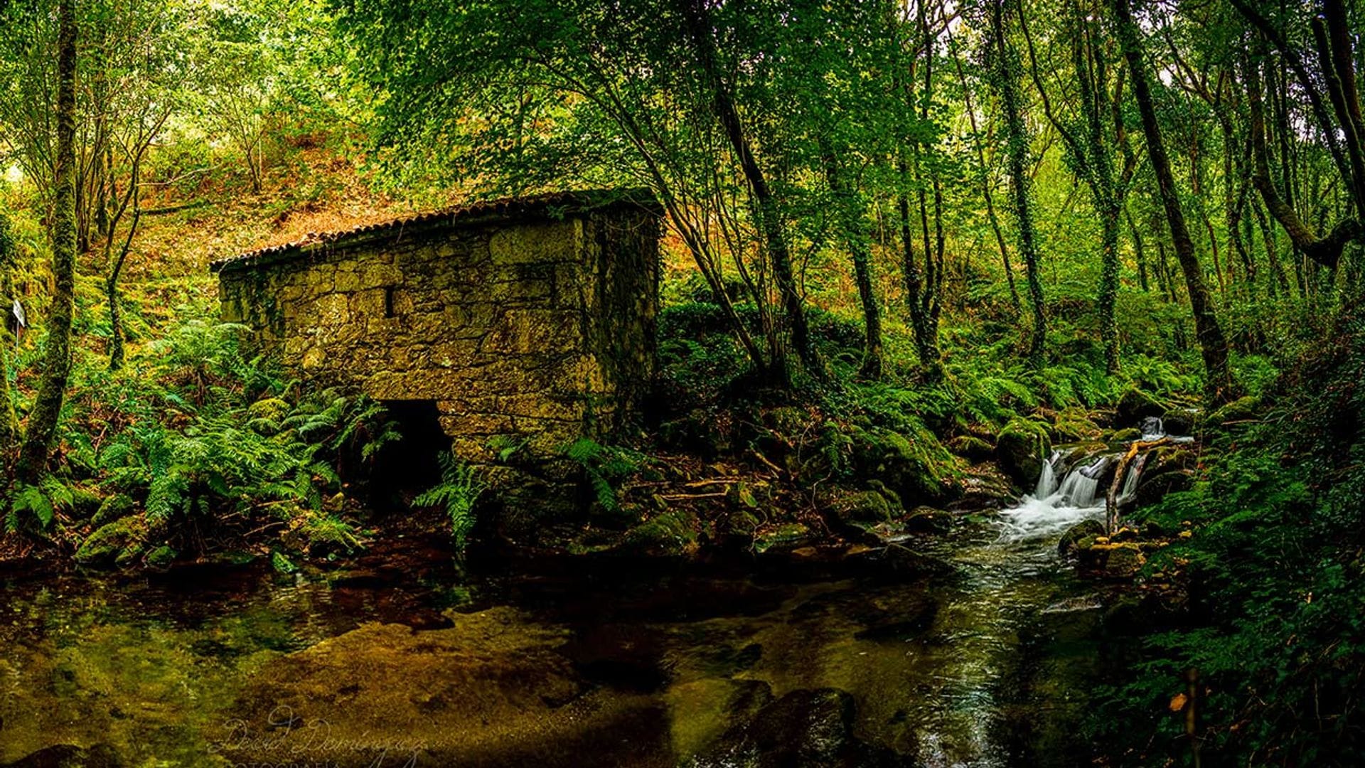 Campo Lameiro, Capital del Turismo Rural 2023