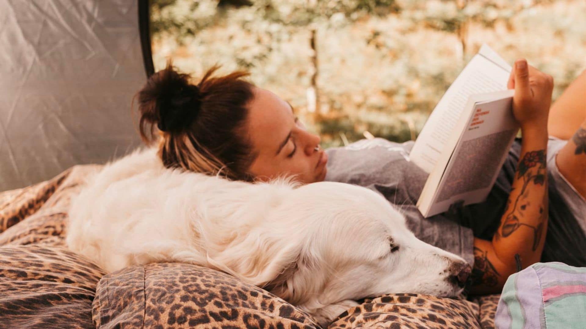 Estos son los mejores libros para aprender todo sobre el cuidado de tu mascota