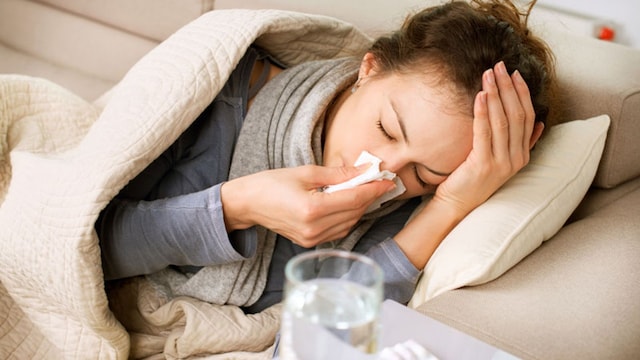 JUNCO gripe