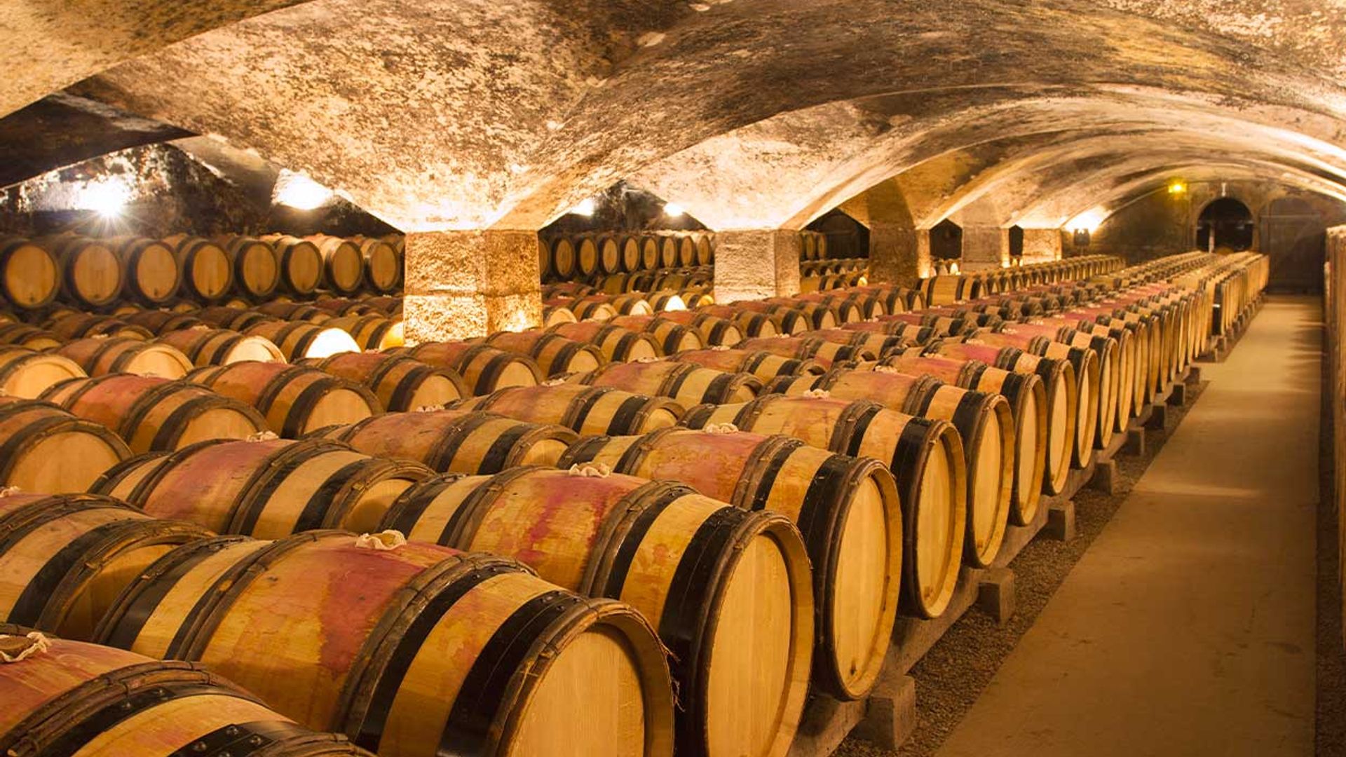 De bodega en bodega por tierras riojanas