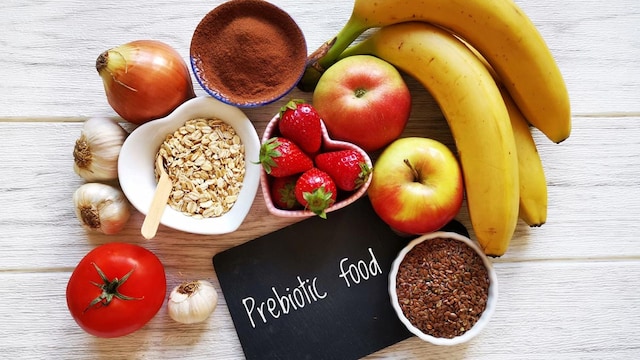 probioticos