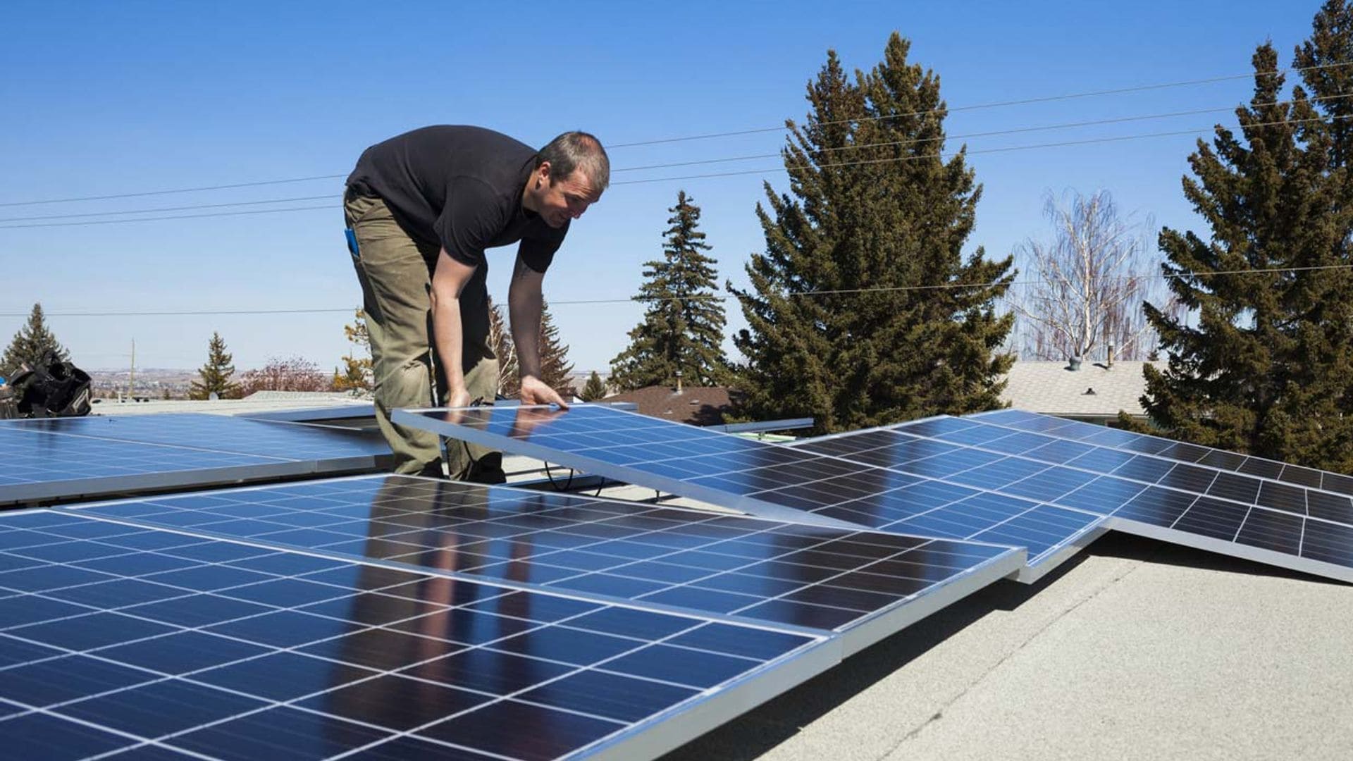 paneles solares