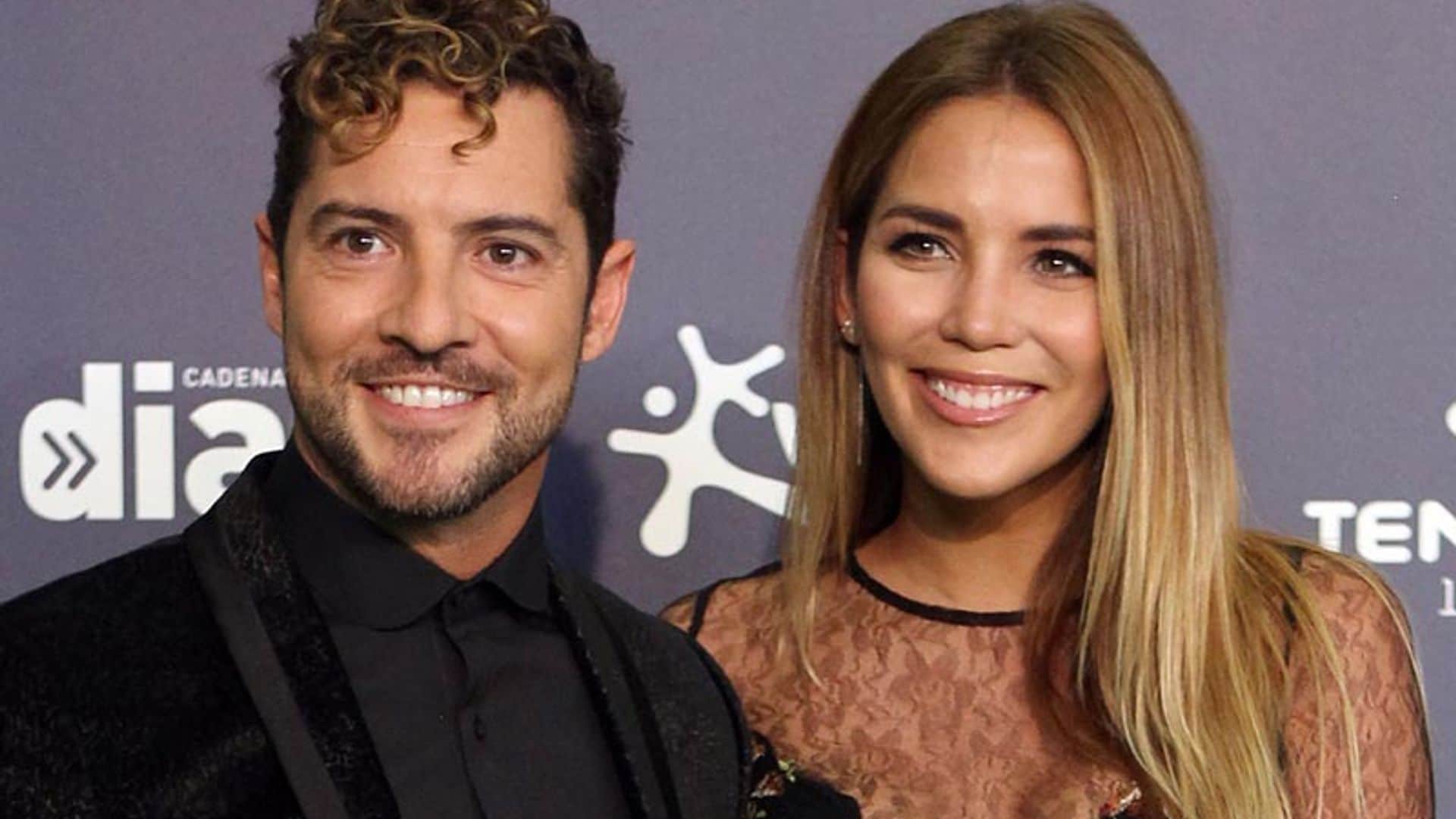 David Bisbal y Rosanna Zanetti ya son pareja de hecho ¿Qué implica esta unión?