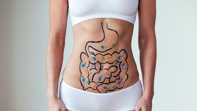 probioticos