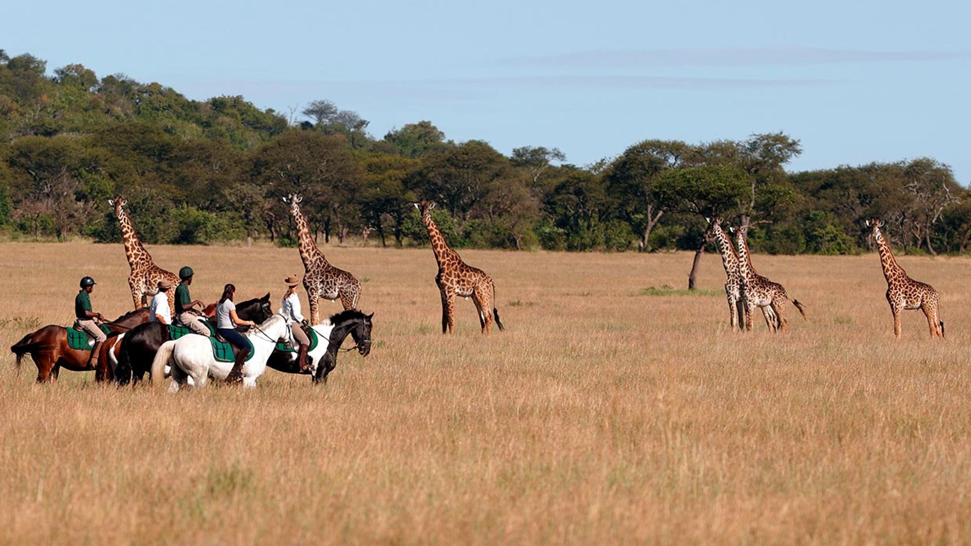 Safaris diferentes en Tanzania
