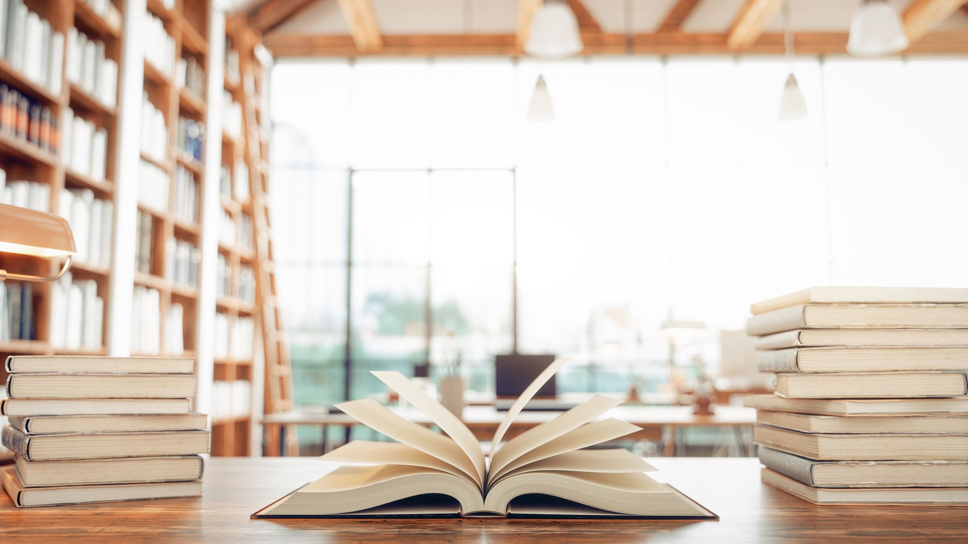Día del Libro 2025: 10 libros recomendados por nuestras expertas