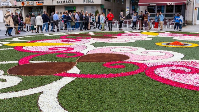 ponteareas corpus alfombras florais  xurxolobato 80
