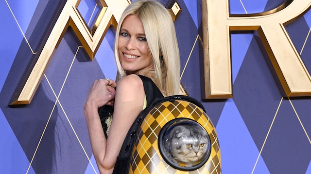 claudia schiffer getty