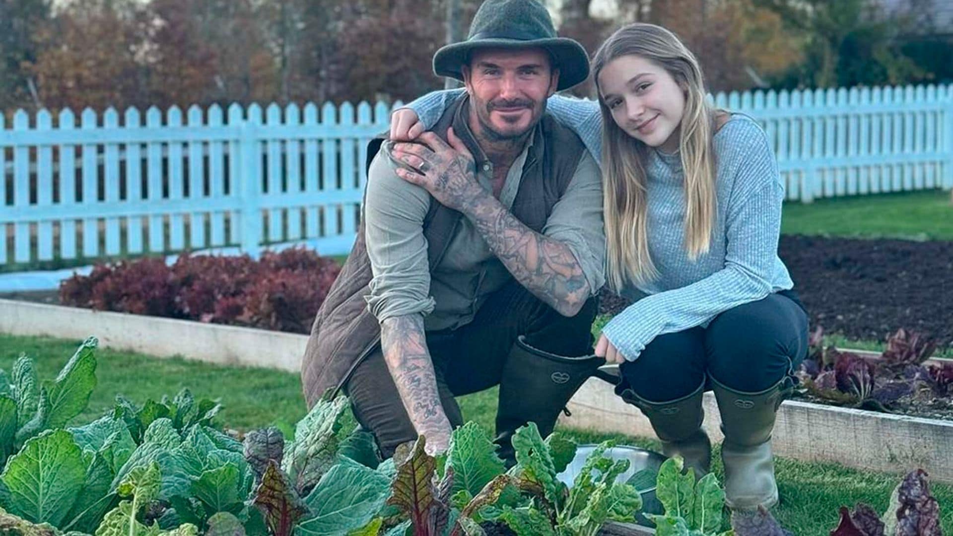 Los rincones más desconocidos en la casa de los Beckham: de su panal de abejas al huerto orgánico